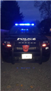 WPD Cruiser on Halloween