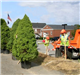 City Public Services workers getting ready to plant trees