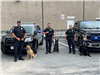 WPD K9 Unit