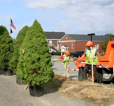 City Public Services workers getting ready to plant trees