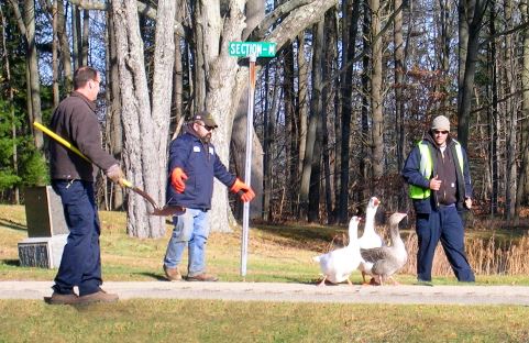 Public Services crew sending the geese to their winter home