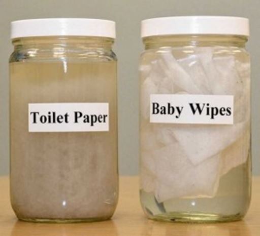Toliet Paper vs Baby Wipes