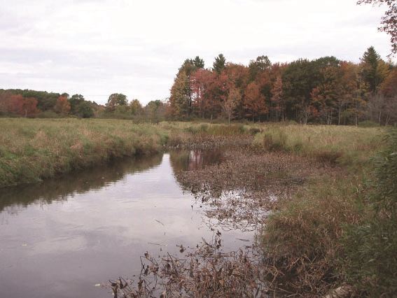 Scarborough Wetlands Bank