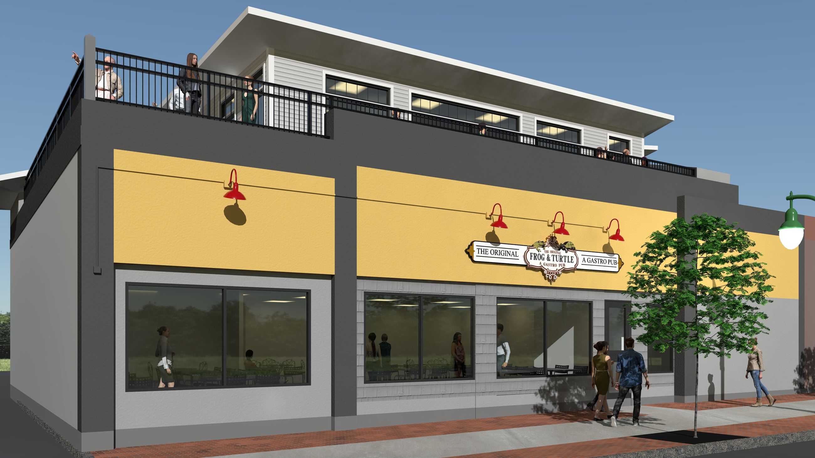 Frog & Turtle Elevations